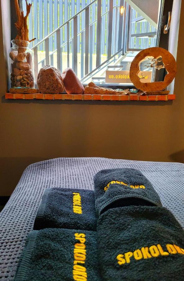 Apartament Spokoloko Mysliwski シュチルク エクステリア 写真